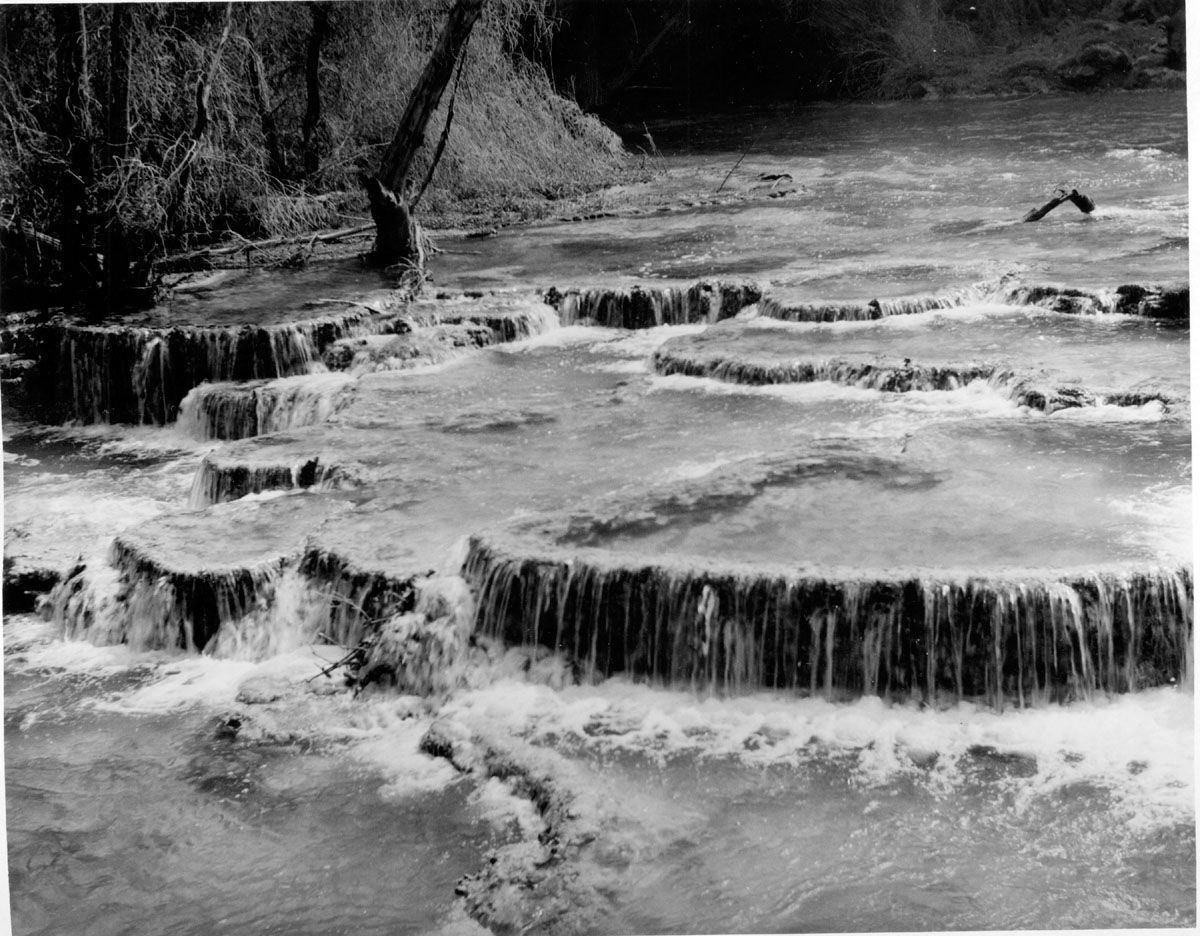 Black and white view of shallow stream water flowing over stepped rock ledges in terraced pools, with bare trees and a bank in the background.